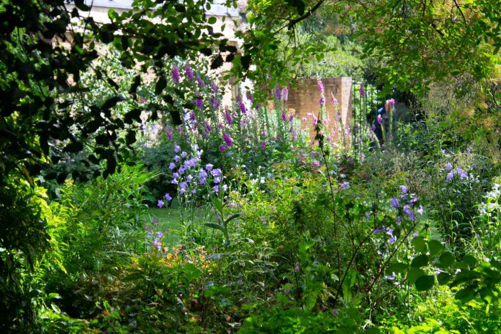 barton_house_garden_2019_4_of_11